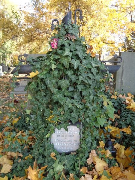 Zdjęcie grobu Roman Chojnacki (2)