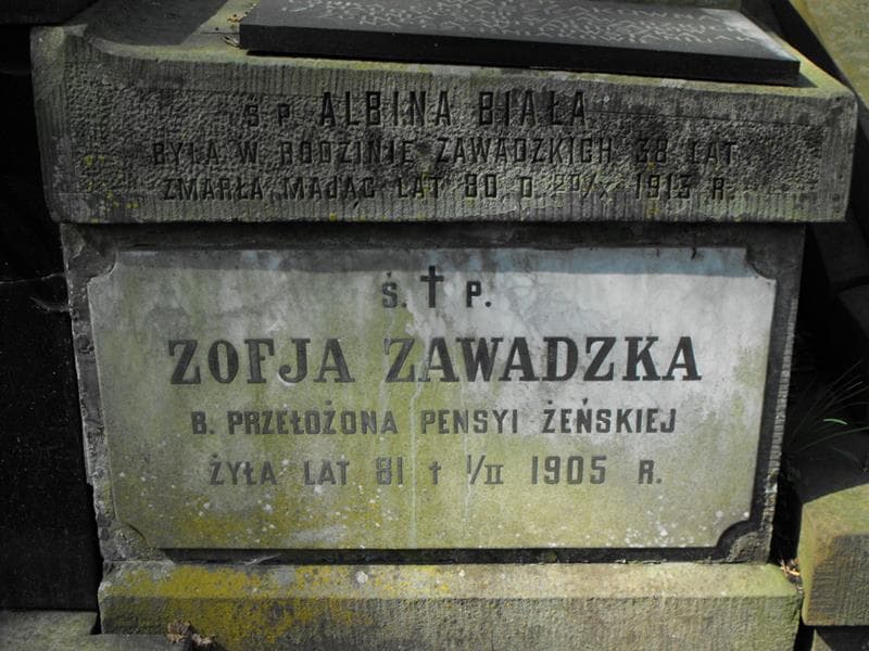 Zdjęcie grobu Albina Biała (2)