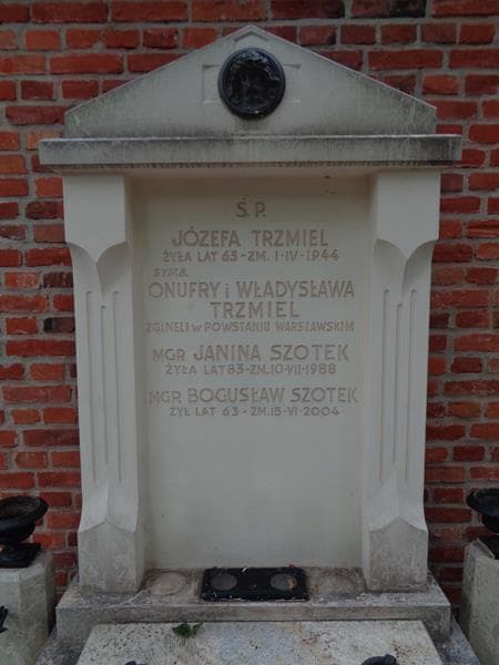 Zdjęcie grobu Józefa Trzmiel (2)