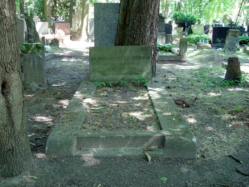 Zdjęcie grobu: Władysław Lubicz-Żebracki