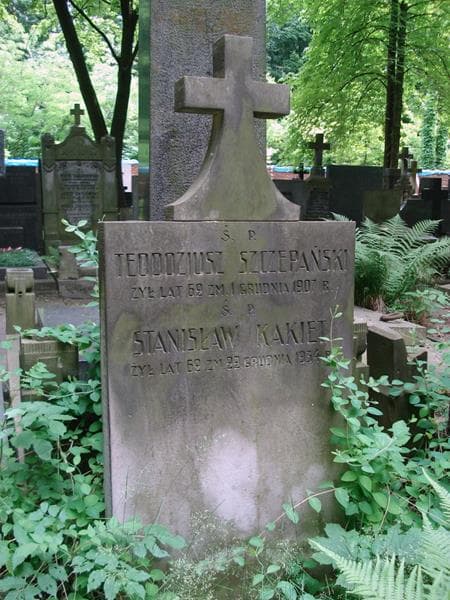 Zdjęcie grobu Teodozjusz Szczepański (2)