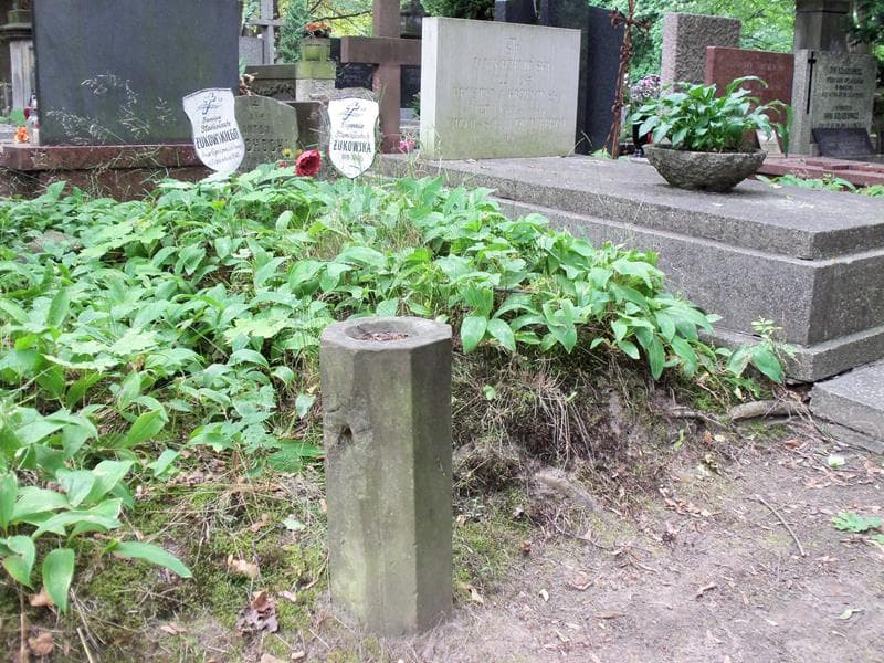 Zdjęcie grobu Eugenia Żukowska (1)