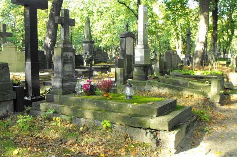 Zdjęcie grobu Wacław Pawlikowski (1)