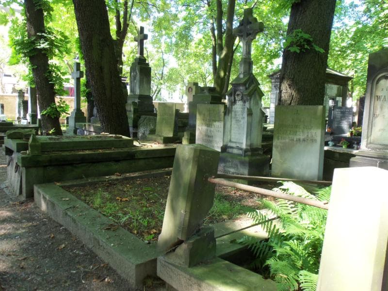 Zdjęcie grobu Roman Drzażdzewski (1)