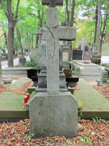Zdjęcie grobu Zofia Brygier (1)