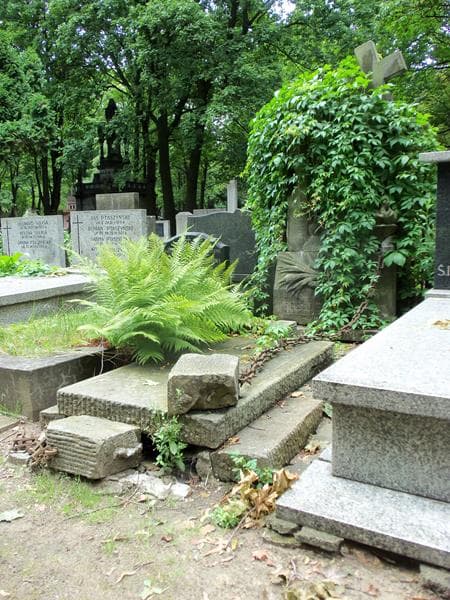 Zdjęcie grobu Władysława Jeznacka (1)