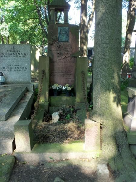 Zdjęcie grobu: Matylda Turczynowiczowa