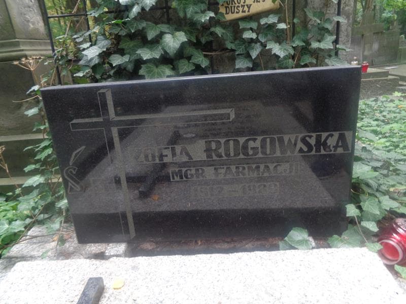 Zdjęcie grobu Tadeusz Talko (2)