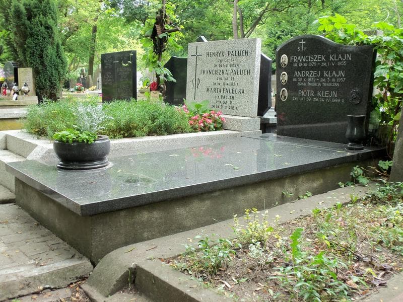 Zdjęcie grobu Piotr Klejn (1)