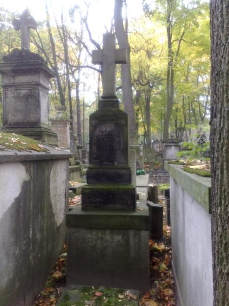 Zdjęcie grobu Józefa Szczęsna (1)