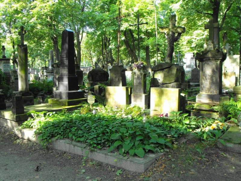 Zdjęcie grobu Apolonia Andruszkiewicz (1)