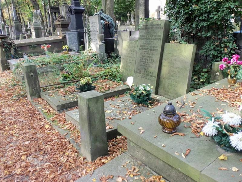 Zdjęcie grobu Stanisław Wroczyński (1)