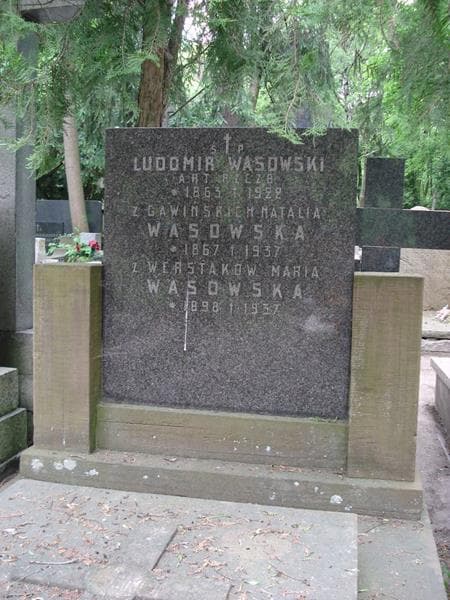 Zdjęcie grobu Ludomir Wąsowski (2)
