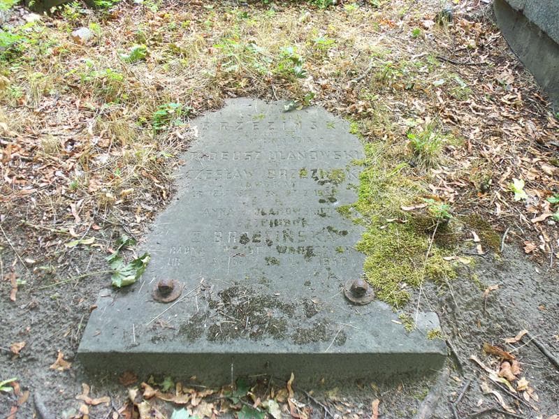 Zdjęcie grobu Anna Brzezińska (2)