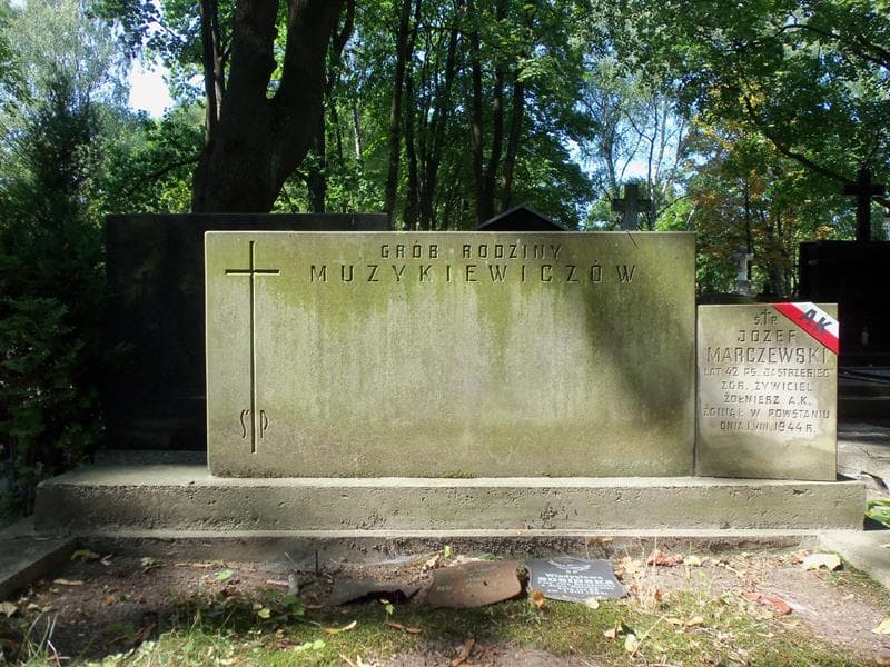 Zdjęcie grobu Józef Marczewski (2)