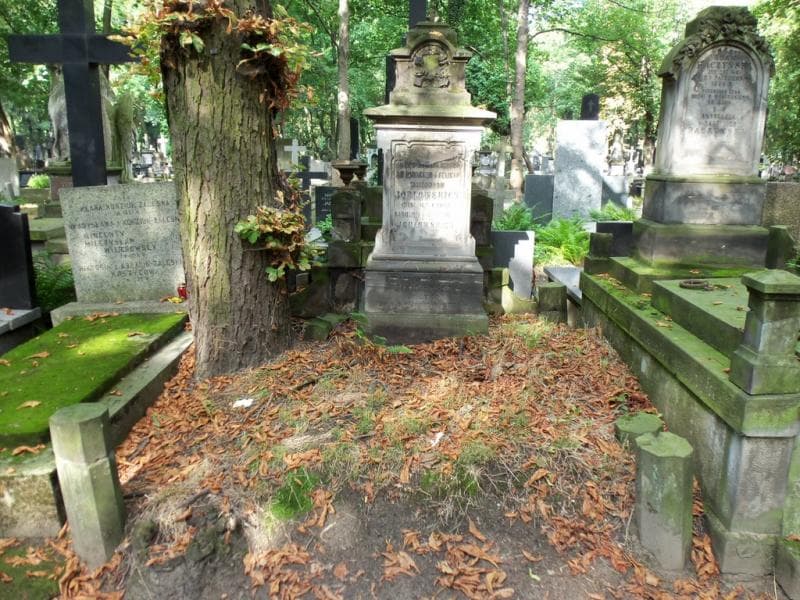 Zdjęcie grobu: Felicya Jodłowska