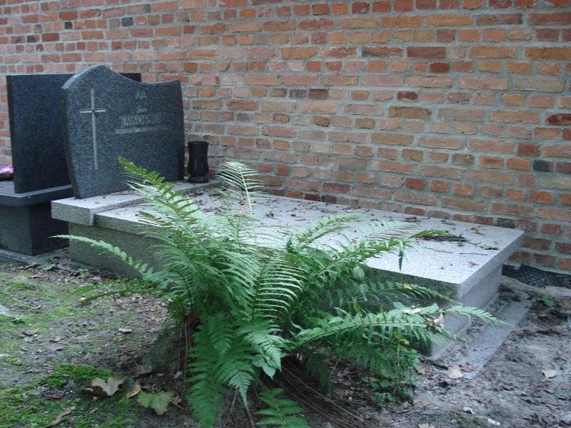 Zdjęcie grobu: Jan Jaworski