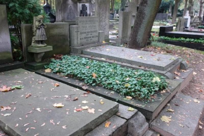 Zdjęcie grobu Anna Cwiżewicz (1)