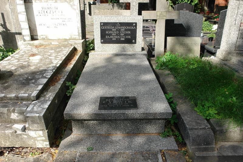 Zdjęcie grobu Gertruda Lewandowska (1)