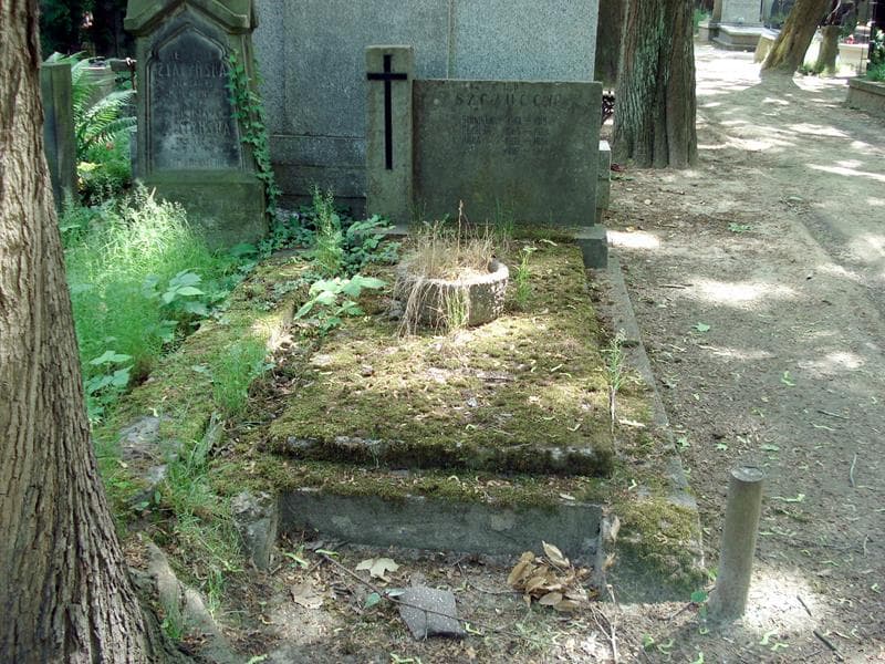 Zdjęcie grobu: Stanisław Szczucki