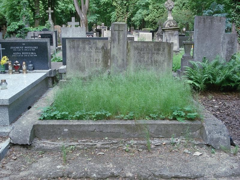 Zdjęcie grobu: Wacław Hirsz