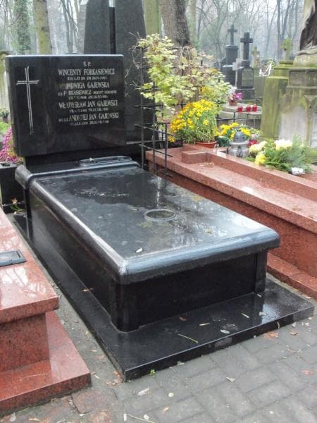 Zdjęcie grobu Wincenty Forkasiewicz (1)