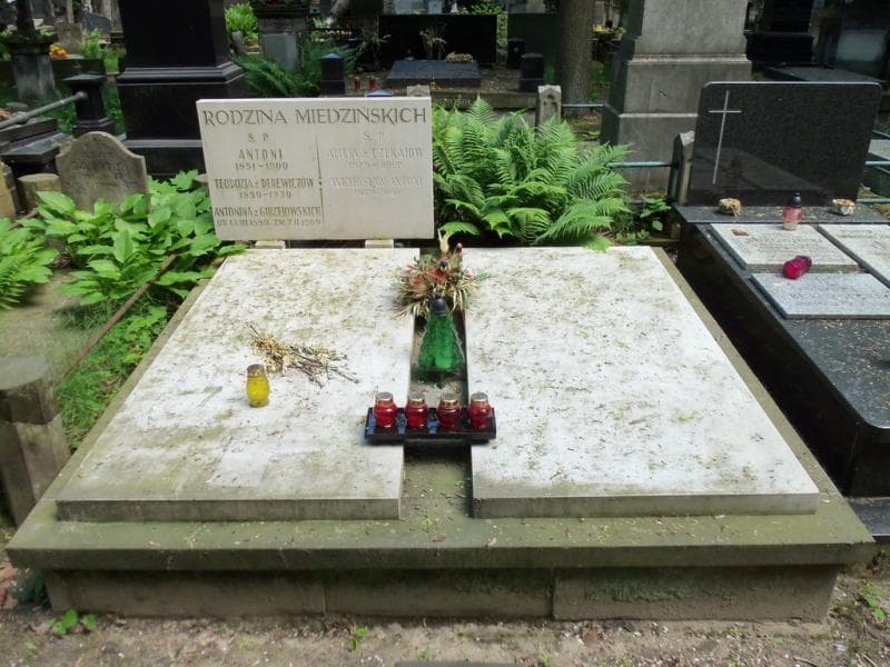 Zdjęcie grobu: Antoni Miedziński
