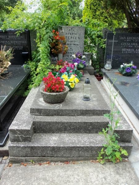 Zdjęcie grobu Henryk Stępień (1)