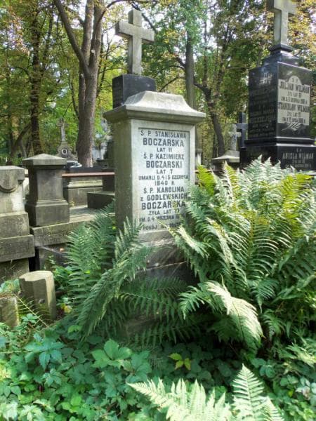 Zdjęcie grobu Kazimierz Boczarski (2)