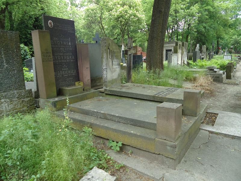 Zdjęcie grobu Adam Ajdukiewicz (1)