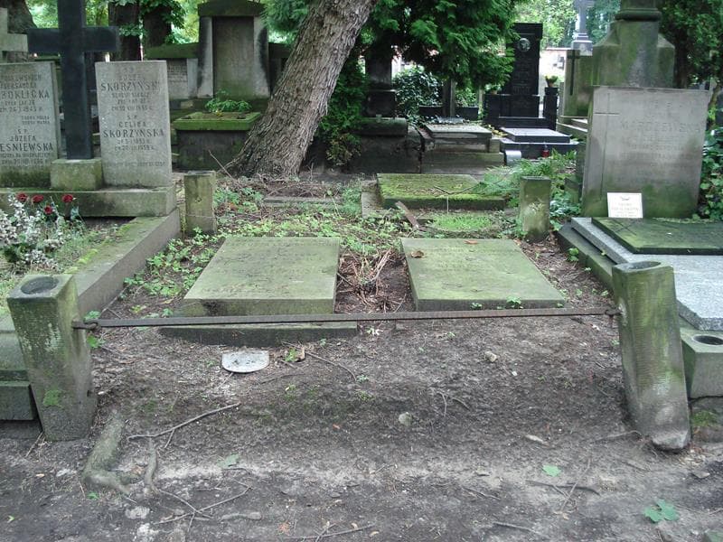 Zdjęcie grobu: Antoni Lechowski