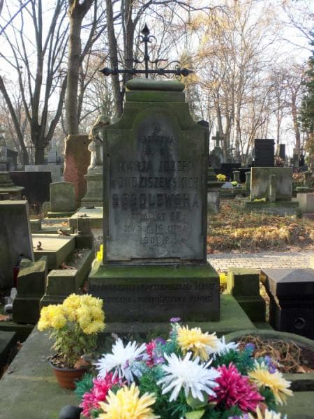 Zdjęcie grobu Romuald Wyrzykowski (2)