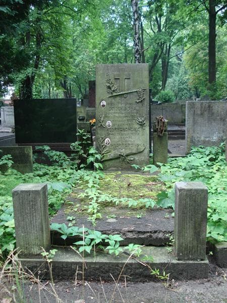 Zdjęcie grobu: Józefa Drzewińska