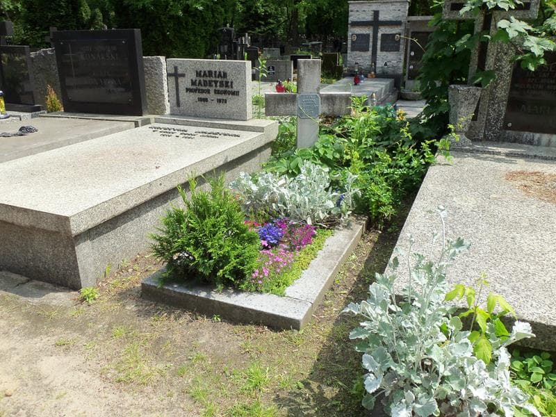 Zdjęcie grobu Alfred Haberzak (1)