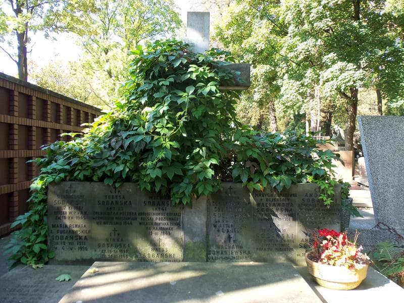 Zdjęcie grobu Wacława Domaniewska (2)
