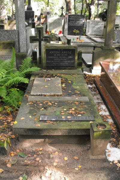 Zdjęcie grobu: Franciszek Anusz