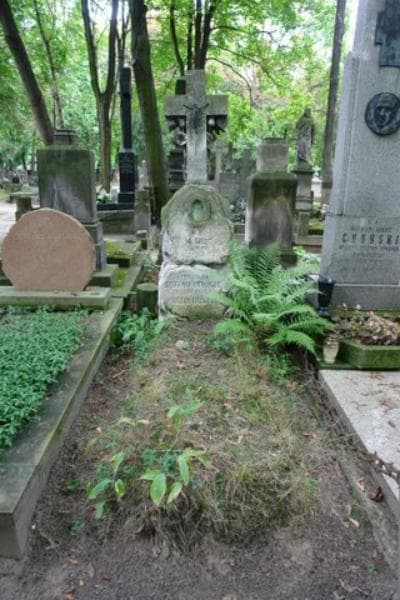 Zdjęcie grobu: Stefania Cithurus