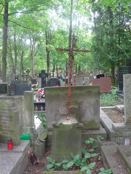 Zdjęcie grobu Marya Napieralska (2)