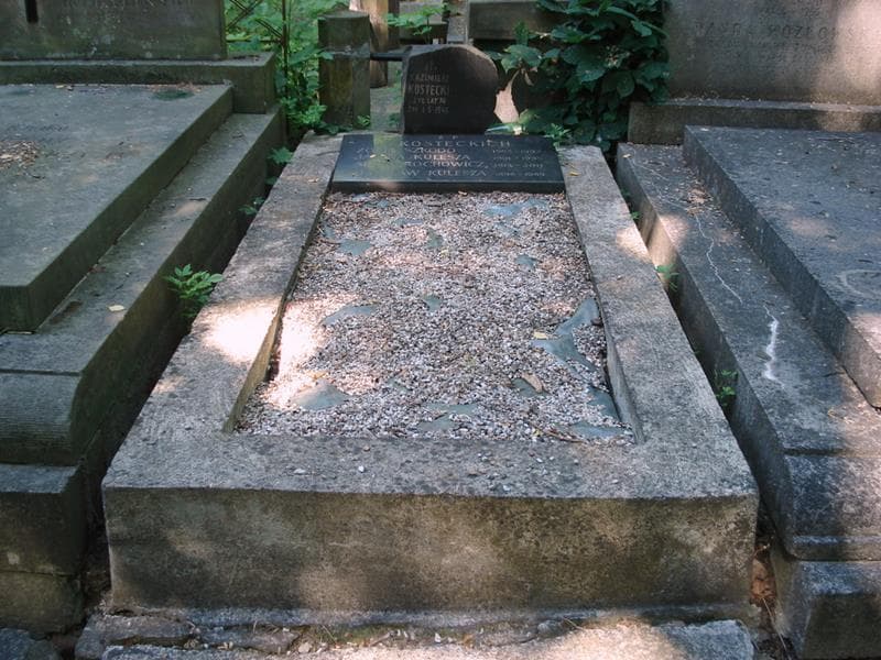 Zdjęcie grobu Janina Kulesza (1)