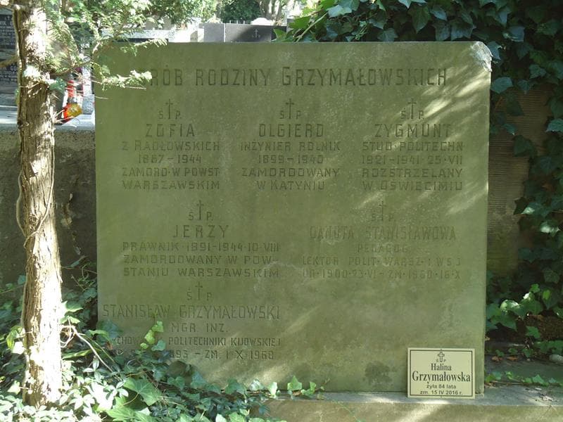 Zdjęcie grobu Janina Dziukowa (2)