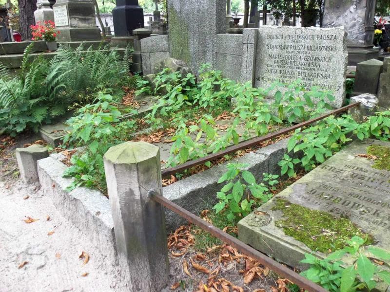 Zdjęcie grobu Zofia Pausza-Bielakowska (1)
