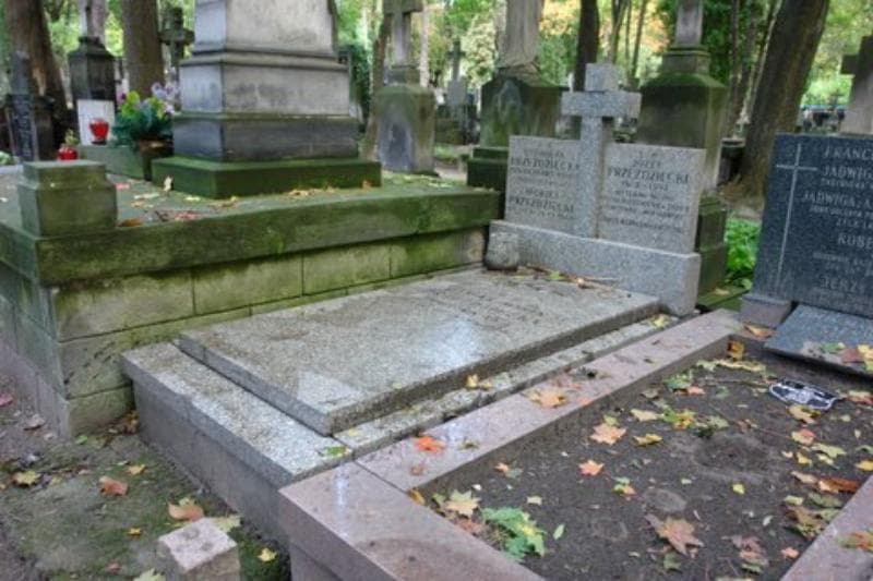 Zdjęcie grobu Henryk Omeliński (1)
