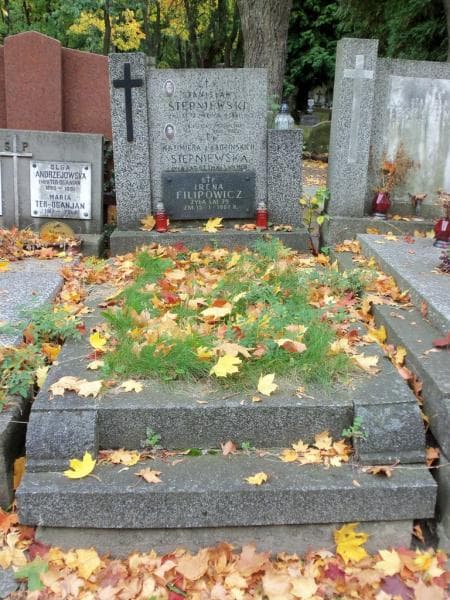 Zdjęcie grobu: Stanisław Stępniewski