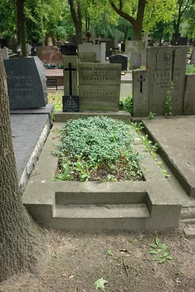 Zdjęcie grobu Jan Domaszewicz (1)