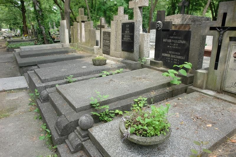 Zdjęcie grobu: Kazimiera Maciejczykowa