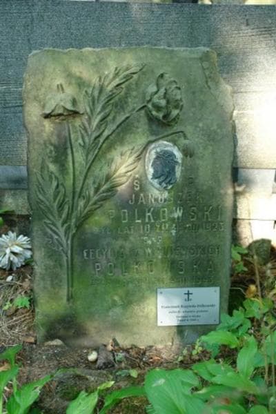 Zdjęcie grobu Januszek Polkowski (2)