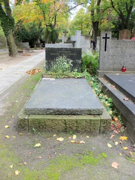 Zdjęcie grobu: Halina Głogowska