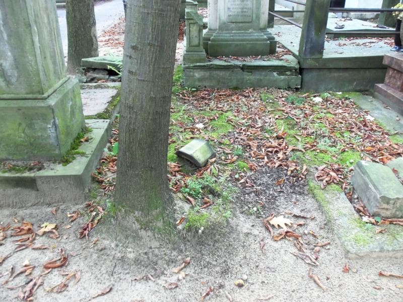 Zdjęcie grobu: Witosław Janczewski