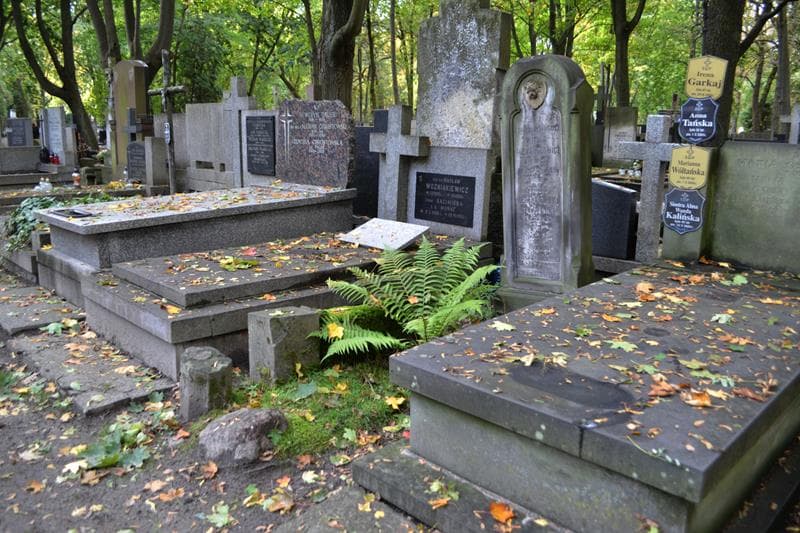 Zdjęcie grobu: Tadzio Kochanowski