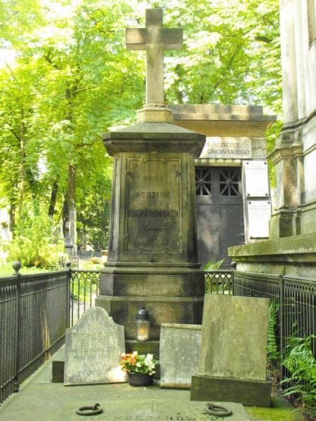 Zdjęcie grobu Bronisław Kochanowski (2)